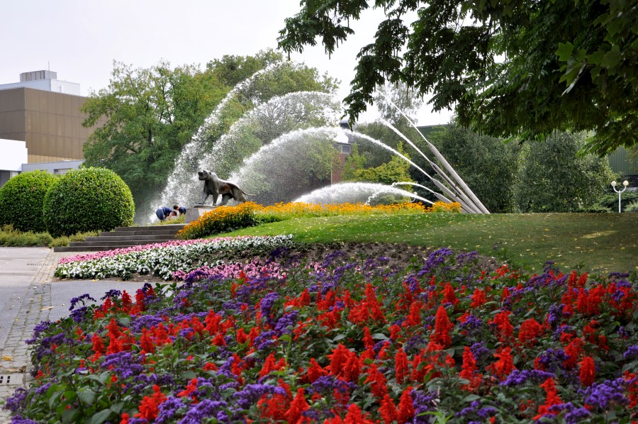 Botanischer Garten Essen
